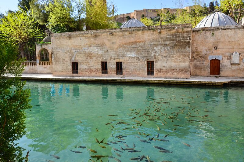 Balıklıgöl, the Pool of Sacred Fish, in central Şanlıurfa
